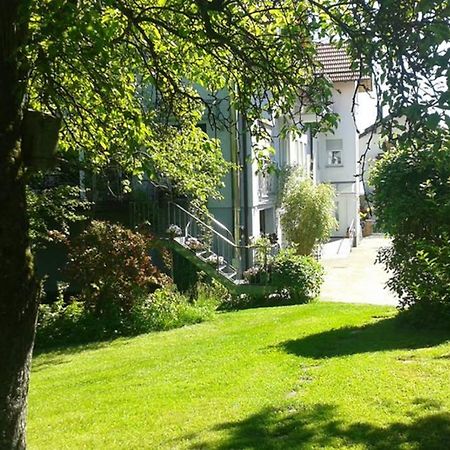 Ober-Abtsteinach Anna - Neue Ferienwohnung Mit Blick Ins Gruene מראה חיצוני תמונה
