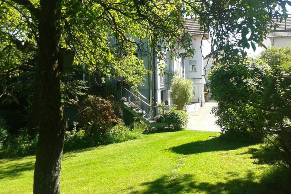 Ober-Abtsteinach Anna - Neue Ferienwohnung Mit Blick Ins Gruene מראה חיצוני תמונה