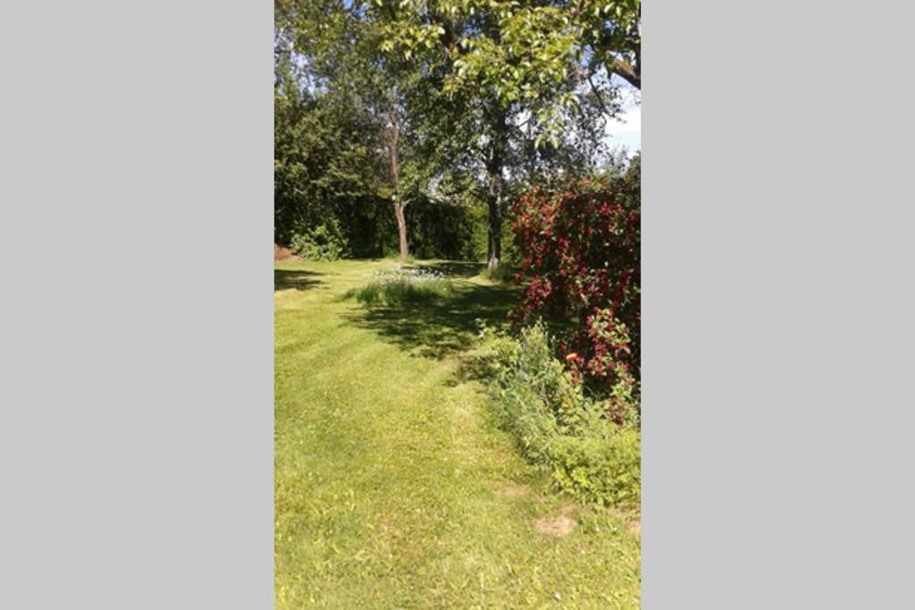 Ober-Abtsteinach Anna - Neue Ferienwohnung Mit Blick Ins Gruene מראה חיצוני תמונה
