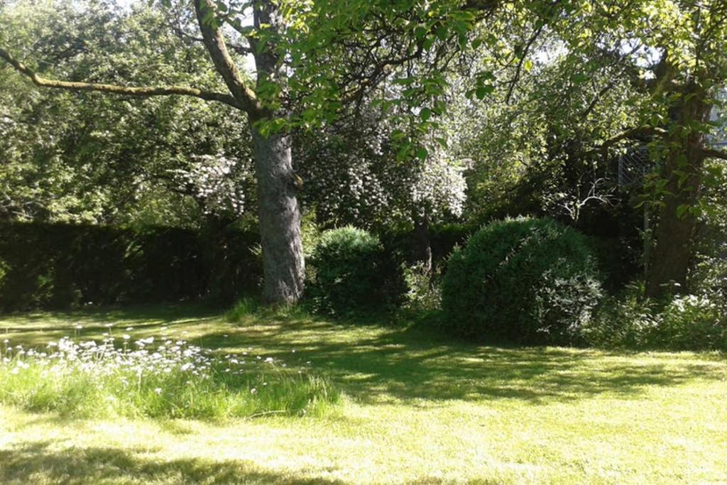 Ober-Abtsteinach Anna - Neue Ferienwohnung Mit Blick Ins Gruene מראה חיצוני תמונה