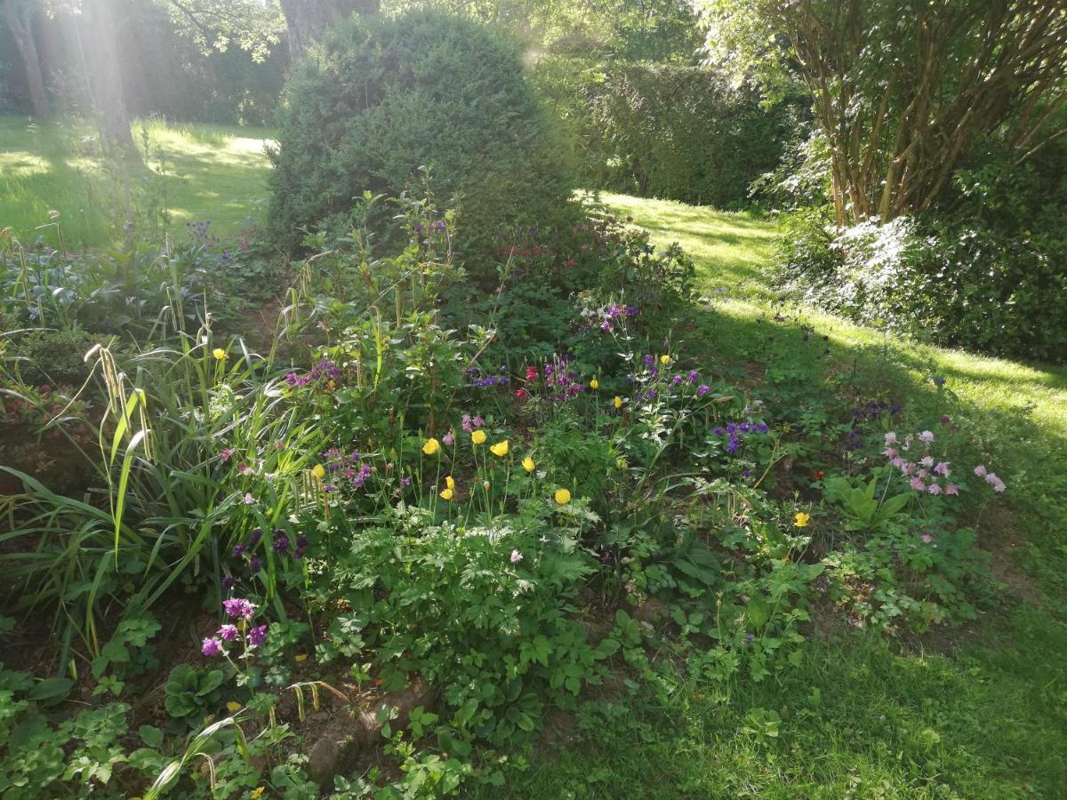 Ober-Abtsteinach Anna - Neue Ferienwohnung Mit Blick Ins Gruene מראה חיצוני תמונה