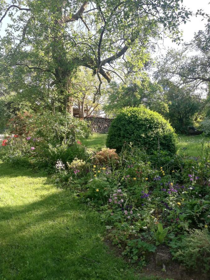 Ober-Abtsteinach Anna - Neue Ferienwohnung Mit Blick Ins Gruene מראה חיצוני תמונה